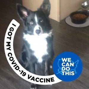 Meet your Posher, L dean